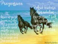 /album/fotecky-z-howrse/agal-horse-jpg/