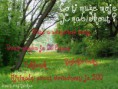 /album/fotecky-z-howrse/louka-u-jizery-jpg/